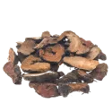 [Quan Shen] Bistortae rhizoma