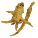 西洋参（整颗）