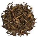 [Qian Cao] Rubiae radix et rhizoma
