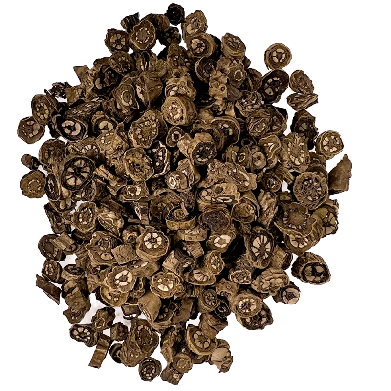 [Hu Huang Lian] Picrorhizoma rhizoma / Picrorhiza Wurzelstock