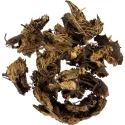 [Sheng Ma] Cimicifugae rhizoma