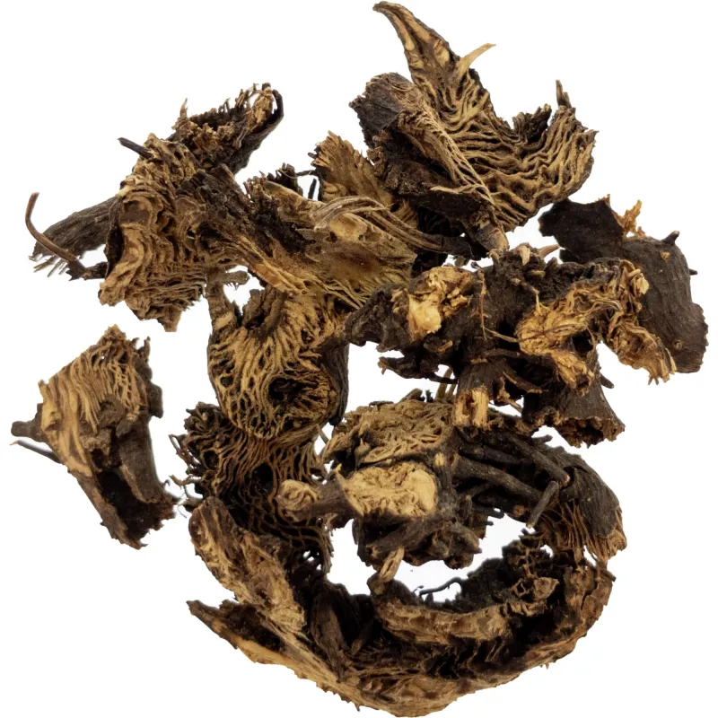 [Sheng Ma] Cimicifugae rhizoma
