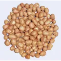 [Hua Sheng] Arachidis hypogaeae semen