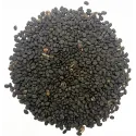 [Yan Bu Gu Zhi] Psoraleae fructus, praep.