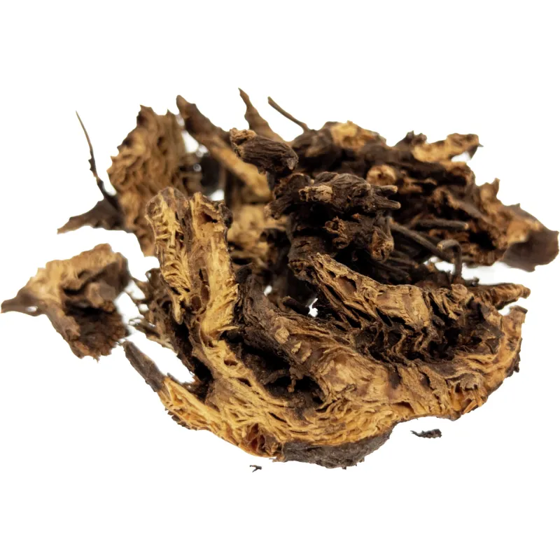 [Sheng Ma] Cimicifugae rhizoma