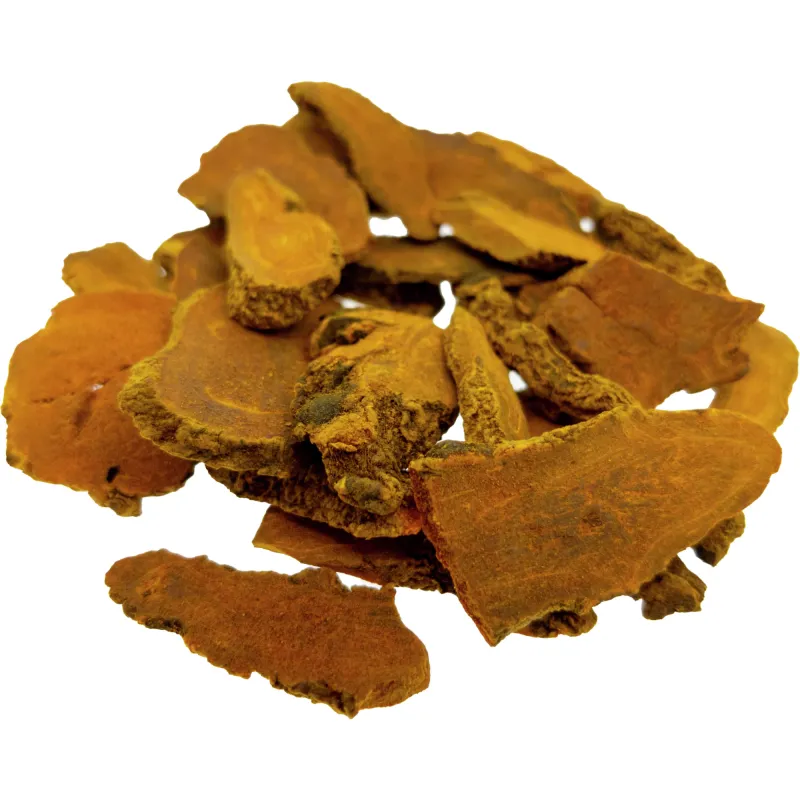 [Jiang Huang] Curcumae longae rhizoma
