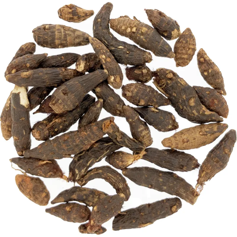[Sheng Xiang Fu] Cyperi rhizoma (unpräpariert)