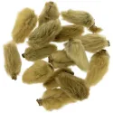 [Xin Yi] Magnoliae flos