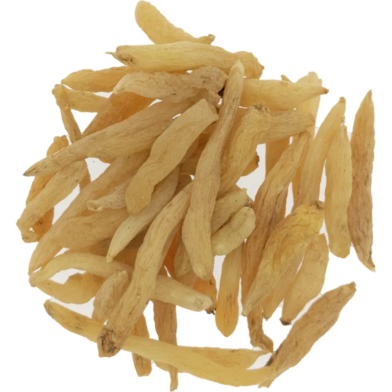麦冬