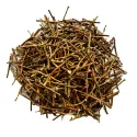 [Ji Gu Cao] Abri Herba