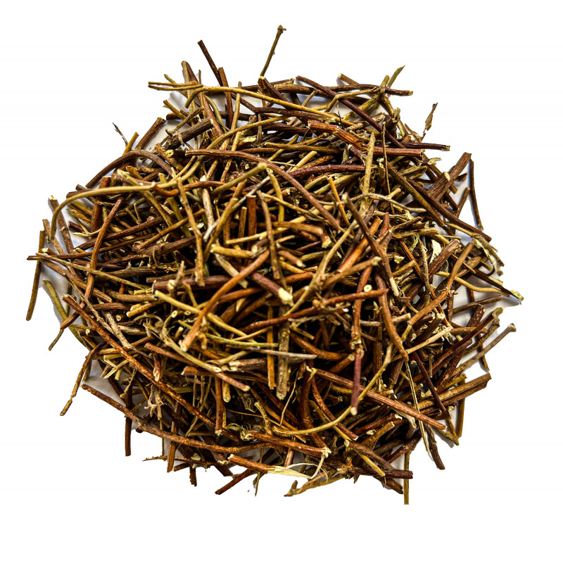 [Ji Gu Cao] Abri Herba