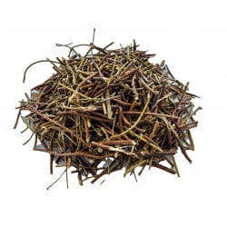 [Ji Gu Cao] Abri Herba