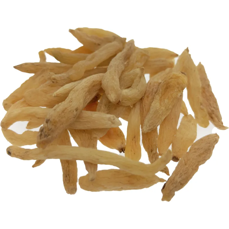 麦冬
