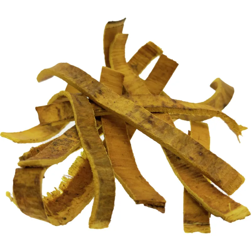 [Huang Bo] Phellodendri chinensis cortex