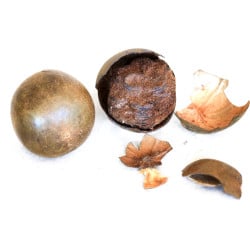 [Luo Han Guo] Mönchsfrüchte (50 g)