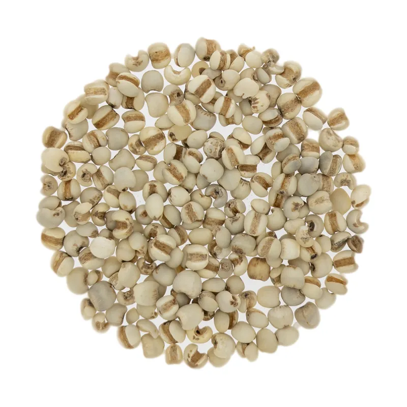 [Yi Yi Ren] Coicis semen 500 g