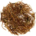 [Long Dan] Gentianae radix et rhizoma