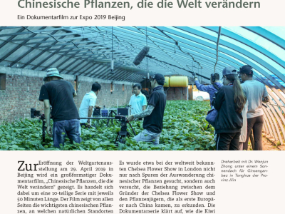 HerbaSinica Kurier 56