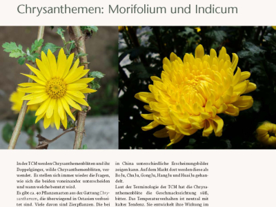 HerbaSinica Kurier 63