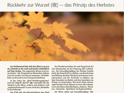 HerbaSinica Kurier 66